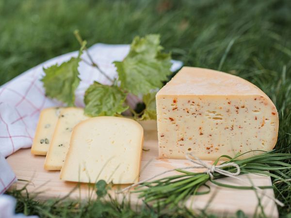 Ein viertel Käselaib und verschiedene Stückkäse auf einem Holzbrett auf der Wiese
