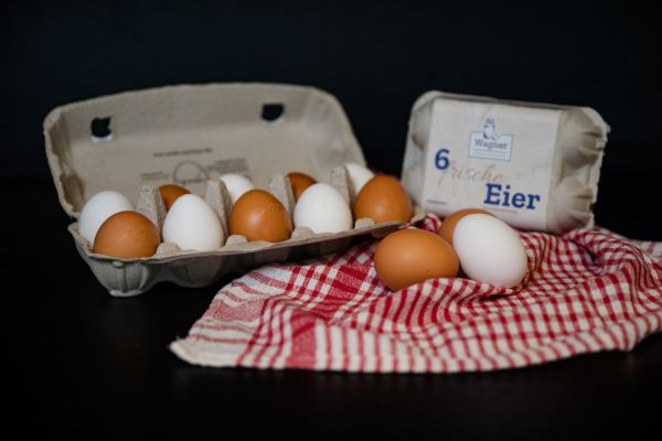 10 frische , braune Hühnereier in einem Eierkarton auf der grünen Wiese