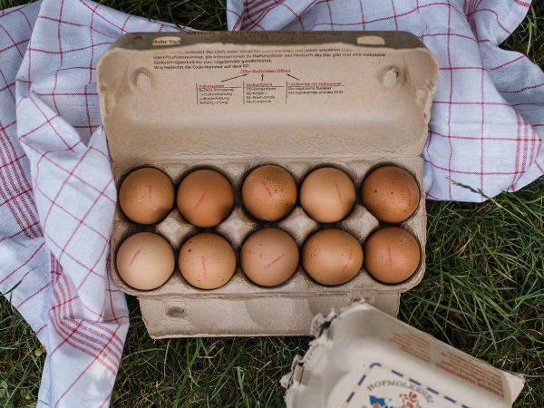 10 frische , braune Hühnereier in einem Eierkarton auf der grünen Wiese